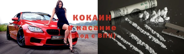 прущие грибы Аркадак