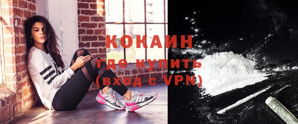 прущие грибы Аркадак