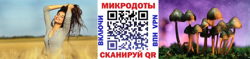 блэк спрут онион  Луховицы  Галлюциногенные грибы Psilocybine cubensis  сколько стоит 